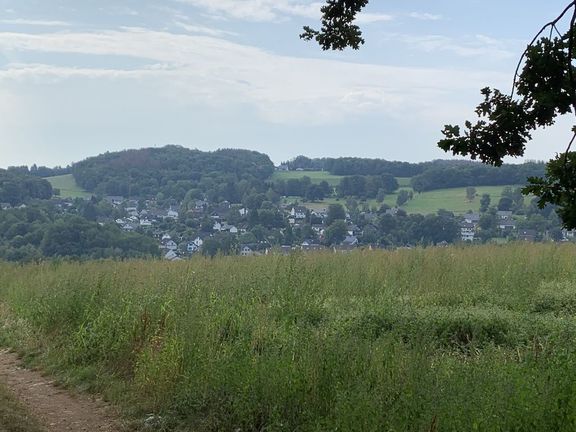 2020-08-10_10-48-05_174.jpg